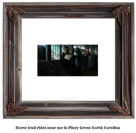 horse trail rides near me in Piney Green, North Carolina